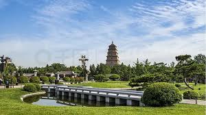慈溪绿化有限公司张永强